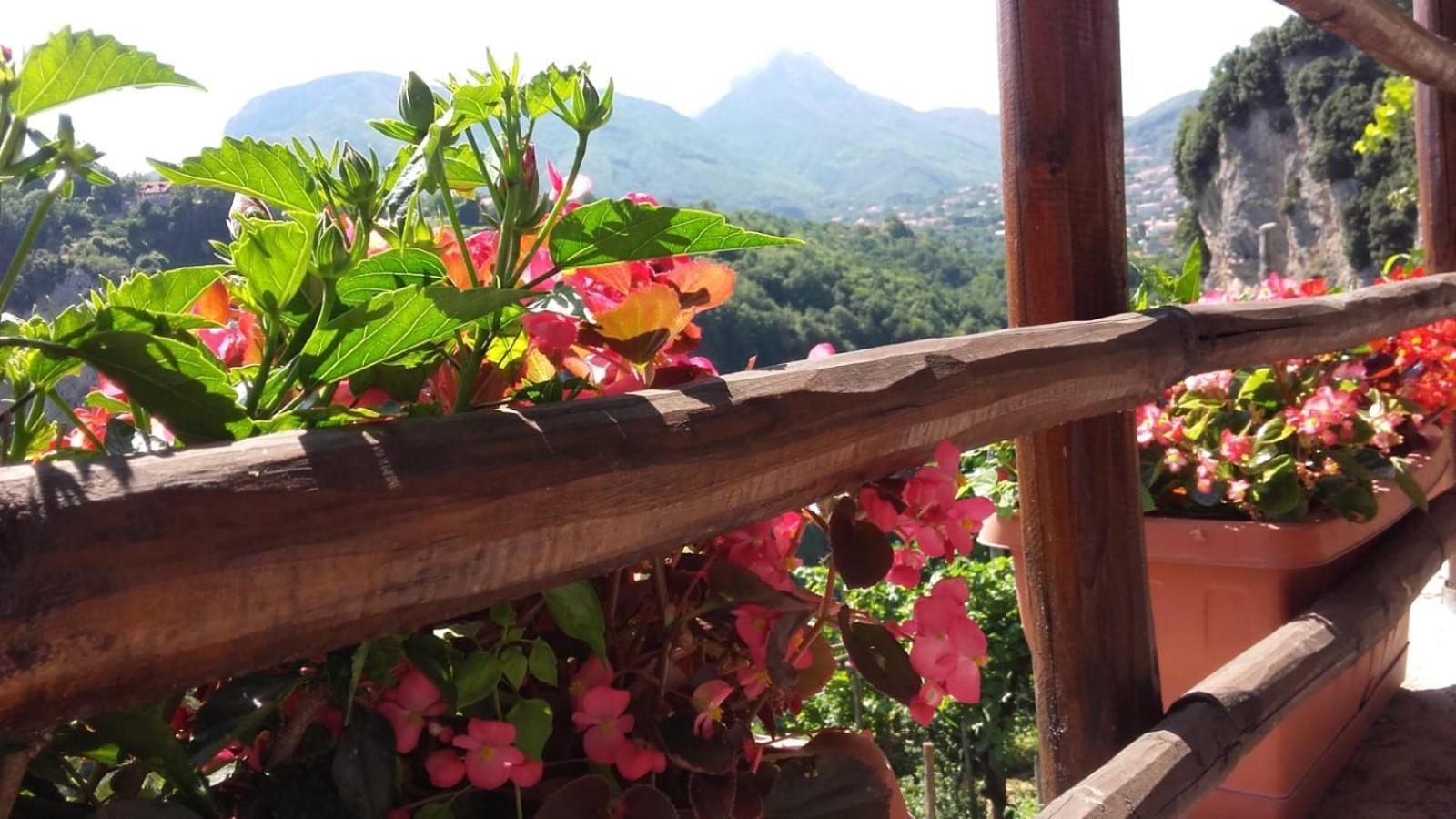 אג'רולה Agriturismo Orrido Di Pino מראה חיצוני תמונה