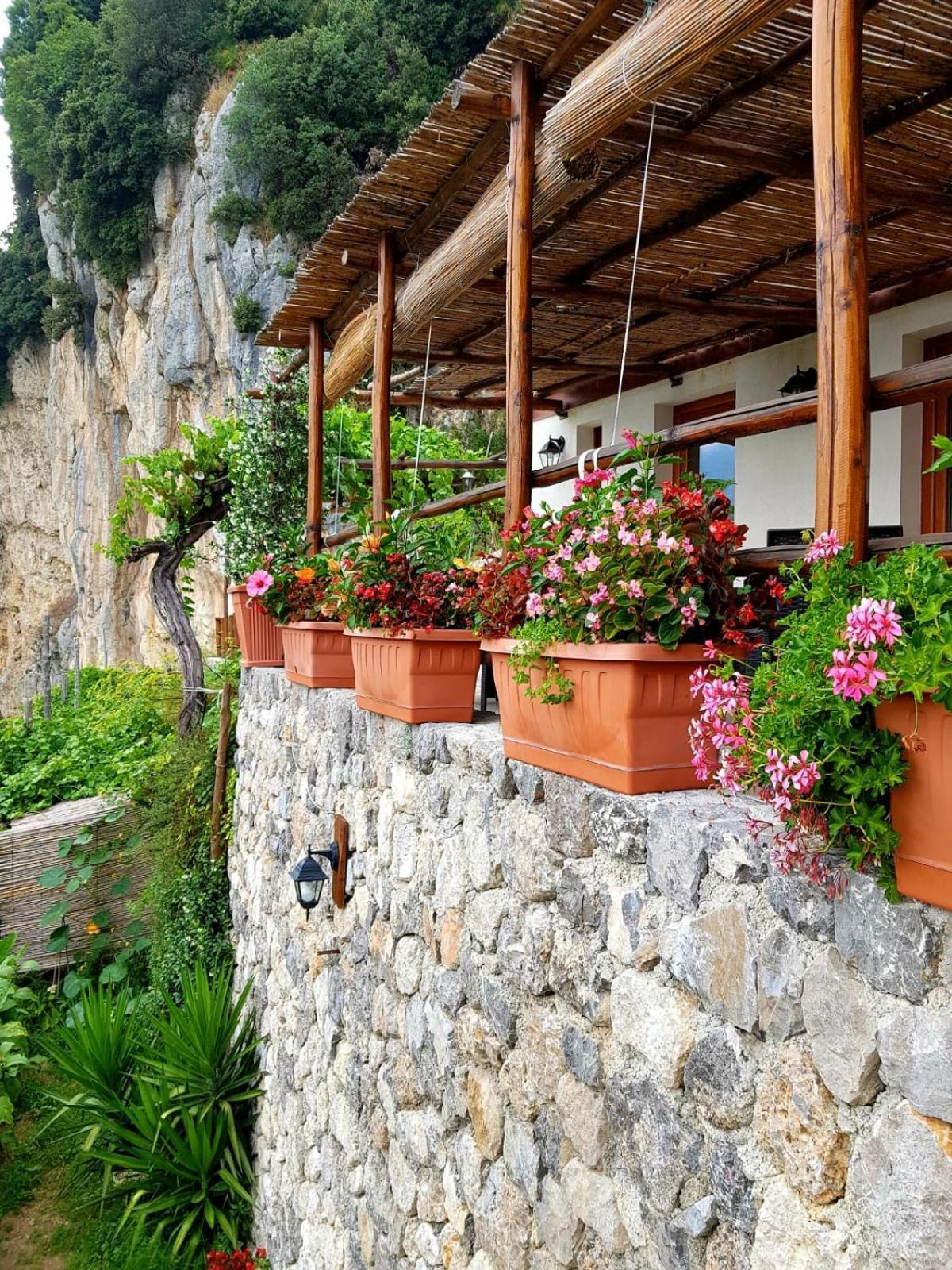 אג'רולה Agriturismo Orrido Di Pino מראה חיצוני תמונה