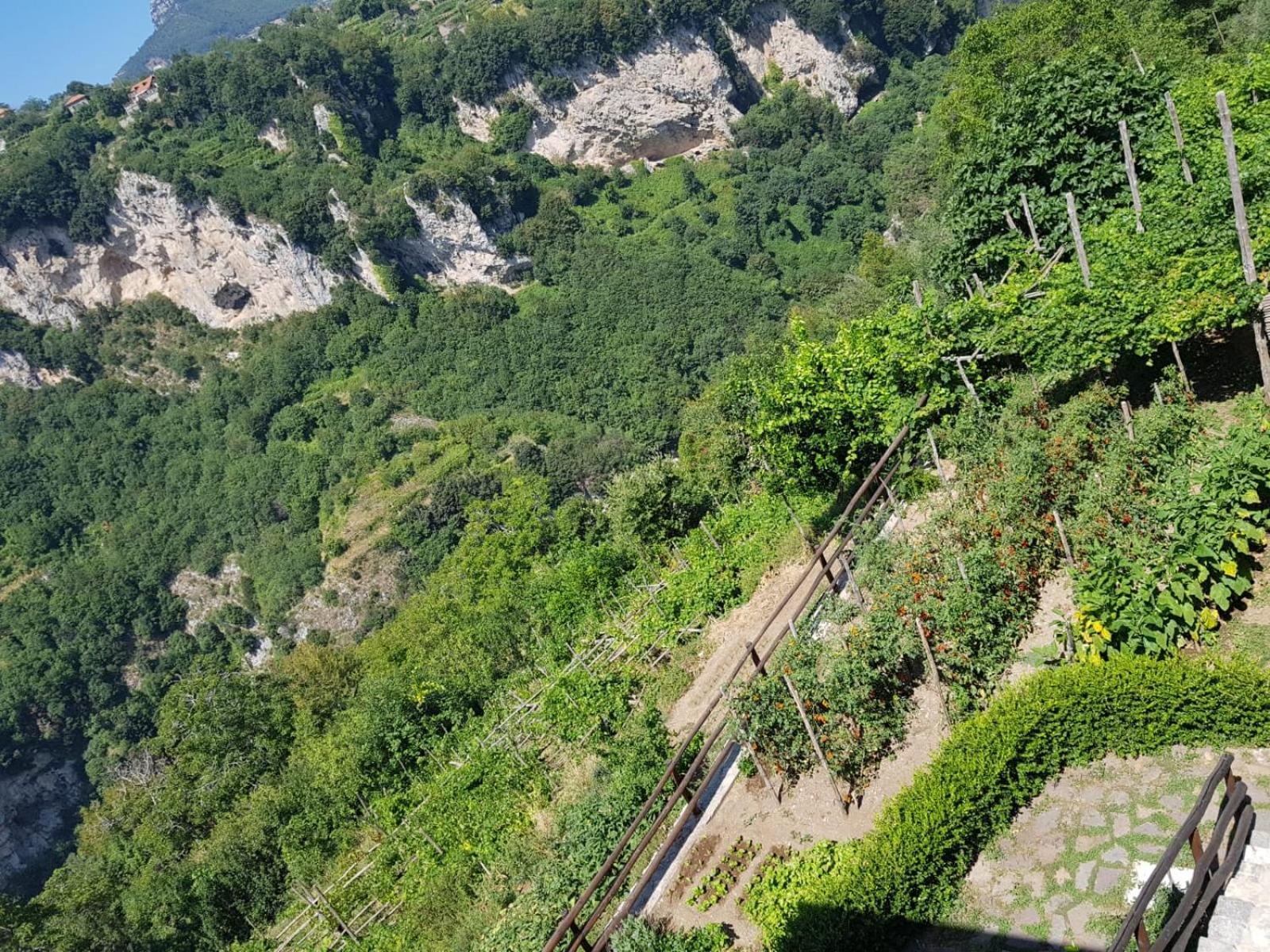 אג'רולה Agriturismo Orrido Di Pino מראה חיצוני תמונה