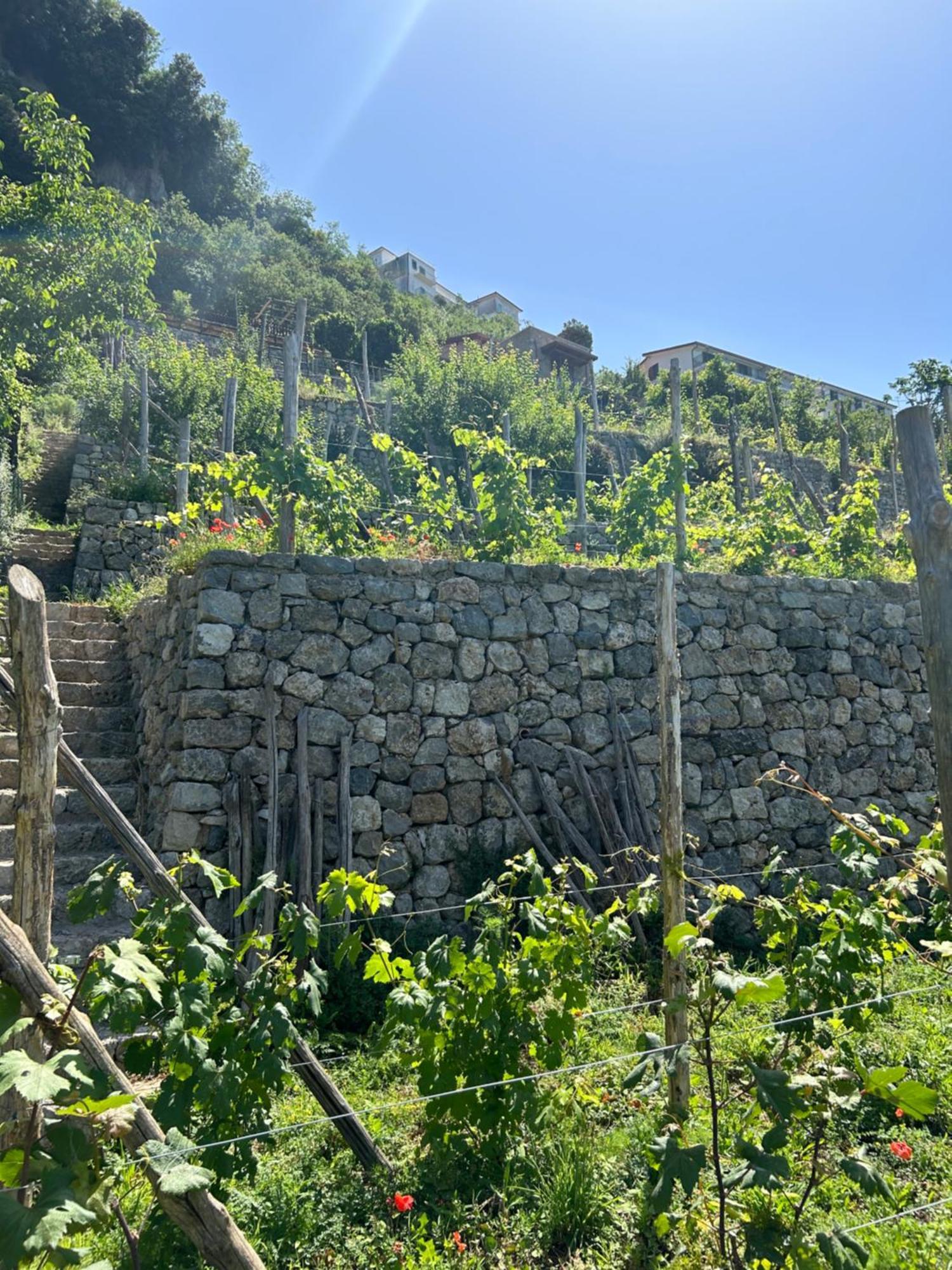 אג'רולה Agriturismo Orrido Di Pino מראה חיצוני תמונה